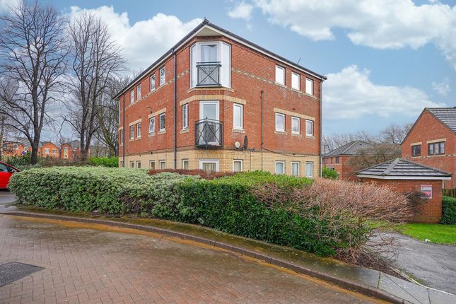 Flat to rent in Broom Green, Sheffield