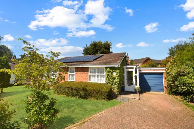 Detached bungalow for sale in North Ridge, Northiam, Rye, East Sussex