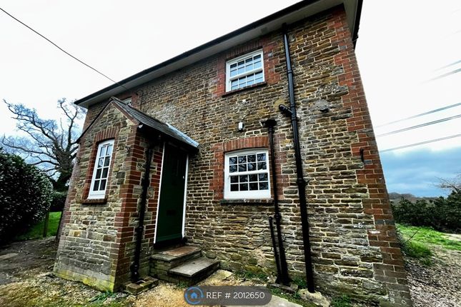 Thumbnail Detached house to rent in Maplehurst Road, West Grinstead, Horsham