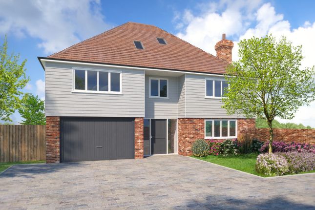 Thumbnail Detached house for sale in Ninfield Road, East Sussex, Bexhill On Sea