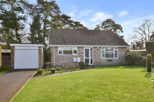 Thumbnail Bungalow for sale in Maloren Way, West Moors, Ferndown, Dorset