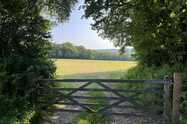 Farmhouse for sale in Cotleigh, Honiton, Devon