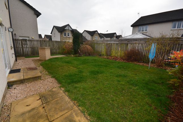 Detached house to rent in Westhaugh Road, Stirling, Stirlingshire