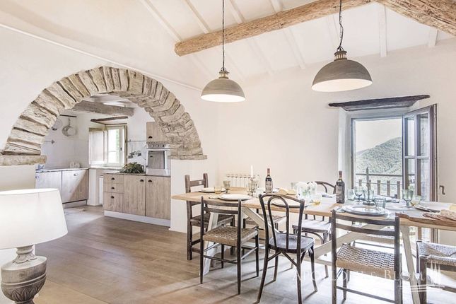 Thumbnail Country house for sale in Cortona, Cortona, Toscana