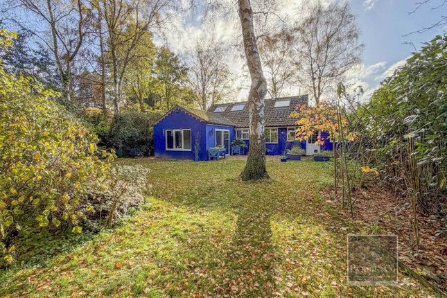 30, Pineheath Road, Holt photo 2