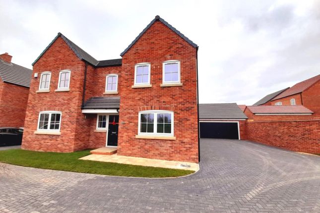 Whatsapp Image 2023-03-02 At 11.09.24.Jpeg