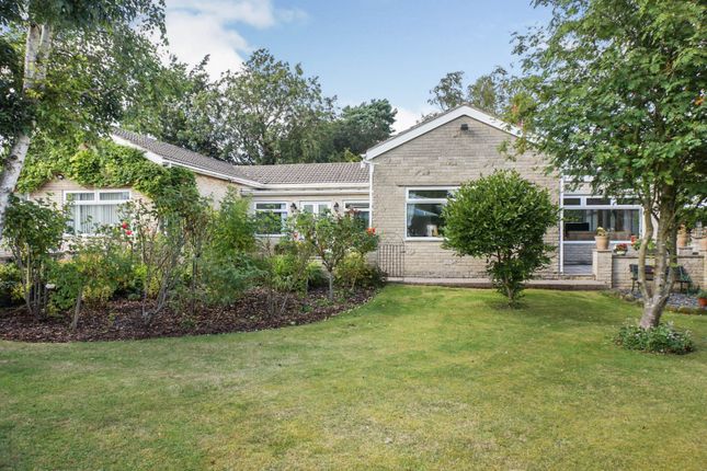 Thumbnail Bungalow for sale in Common Road, Thorpe Salvin