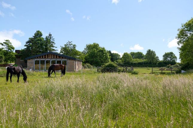 The Paddock, Wychtree Farm, Keysoe photo 4