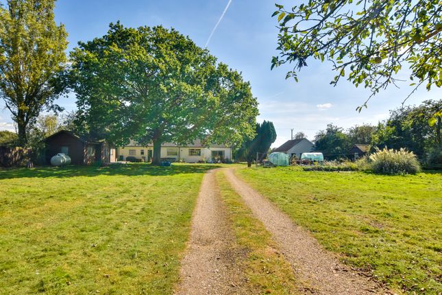 Thumbnail Detached bungalow for sale in Canfield Road, Takeley, Bishop's Stortford