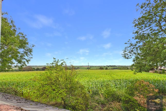 Lane End,, Beaford, Devon photo 3
