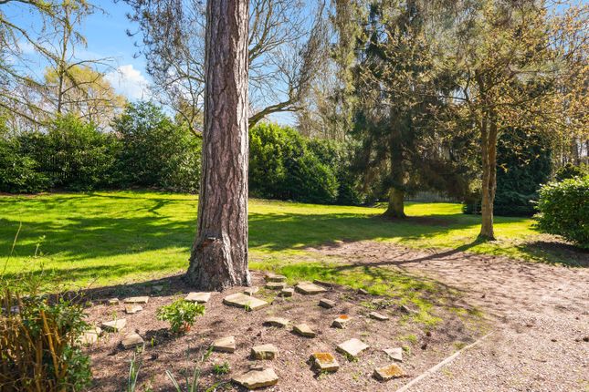Ewemove Estate Agent Scunthorpe Garden