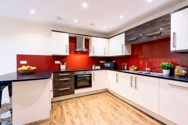 53 Ecco, Sheffield photo 2