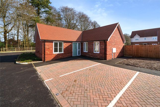 Bungalow for sale in Grayshott, Hindhead, Hampshire