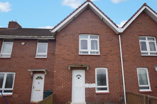 Thumbnail Terraced house for sale in Collingwood Gardens, Felling, Gateshead, Tyne And Wear