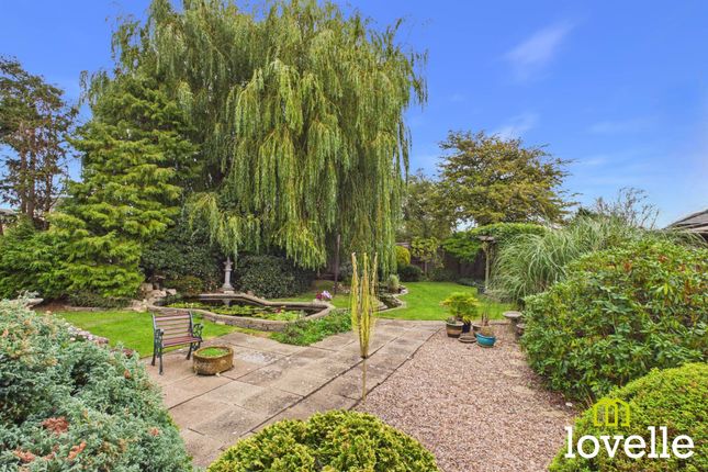 27 Outlands Road, Cottingham photo 4