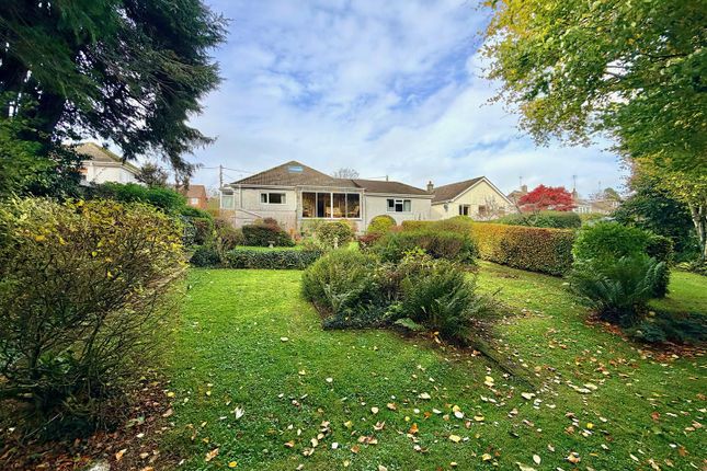 8, Shute Park Road, Plymouth photo 2