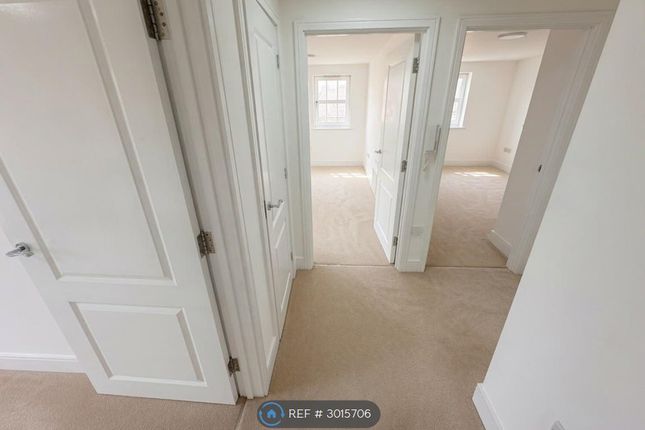 Chelwater, Great Baddow, Chelmsford photo 2