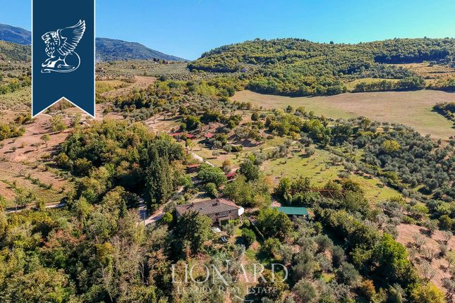 Thumbnail Farm for sale in Pelago, Firenze, Toscana