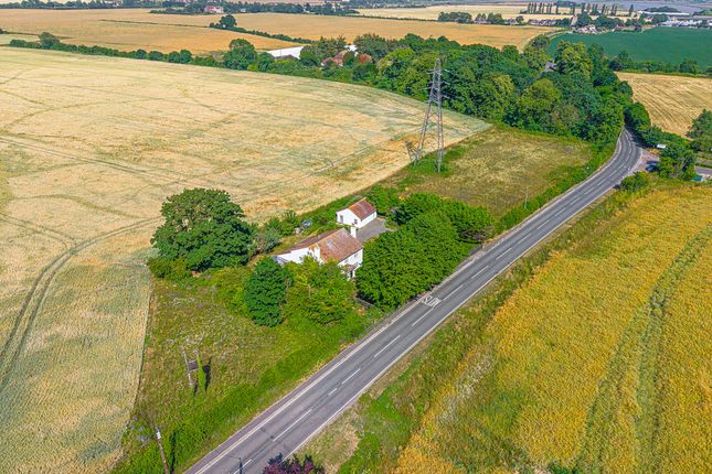 White House, Stambridge Road, Rochford photo 4