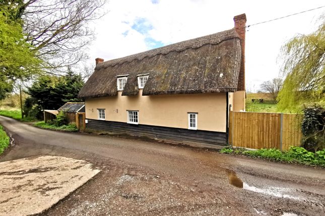 Thumbnail Cottage to rent in Water Lane, Shalford, Braintree