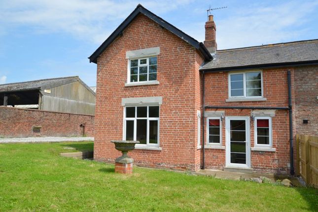 Semi-detached house to rent in Elmswell, Driffield