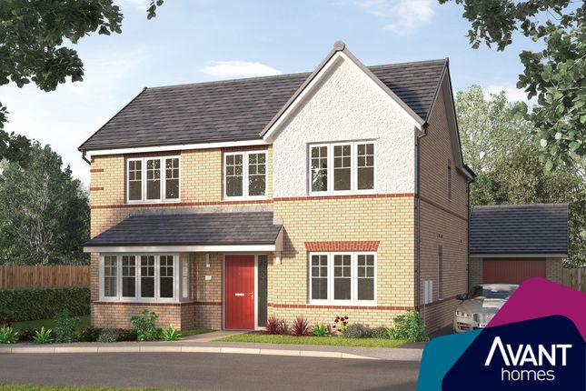 Thumbnail Detached house for sale in "The Rainbrook" at Boundary Walk, Retford