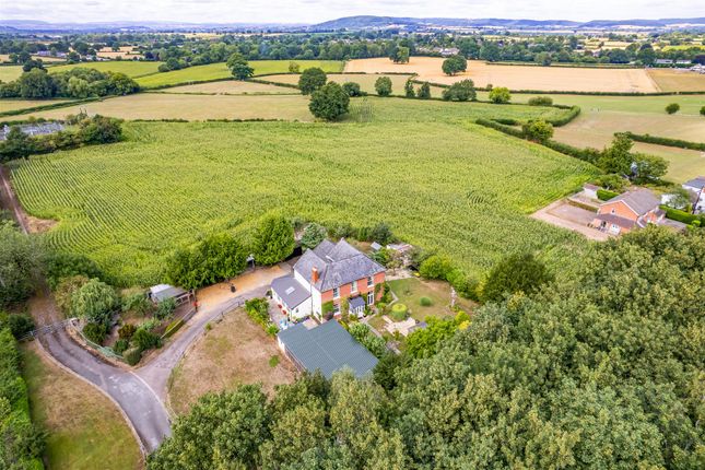 Dji_0043-Edit.Jpg