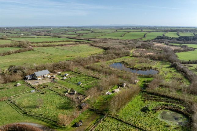 South Worden Farm, Holsworthy photo 2