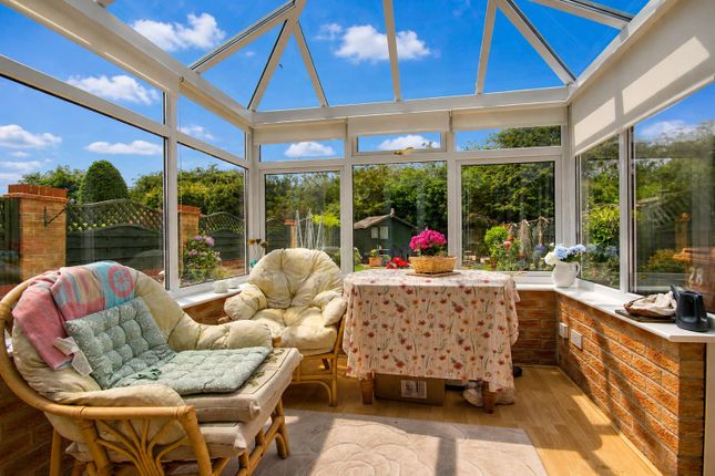 28, Butterfly Meadows, Beverley photo 4