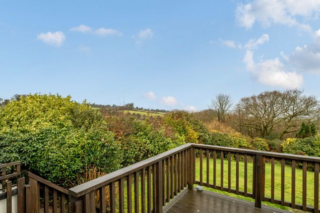 Amanda Way, Liskeard photo 2