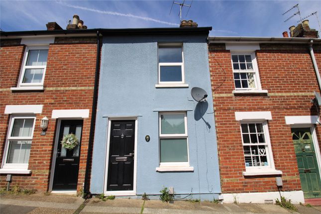 Thumbnail Terraced house to rent in Cedars Road, Colchester