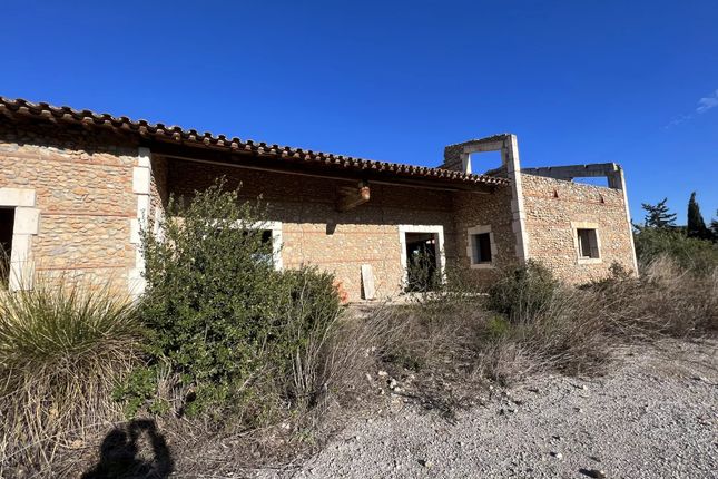 Farmhouse for sale in Perpignan, Languedoc-Roussillon, 66, France