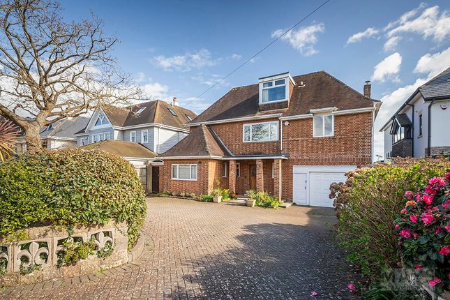27, Elms Avenue, Lilliput photo 4