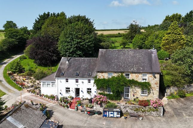 Ffynnonwen, Coedybryn, Llandysul photo 2