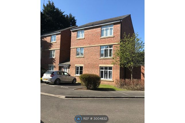 Dorman Gardens Linthorpe, Middlesbrough photo 2