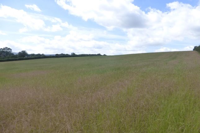 Lot 2 - Approx. 17.63 Acres Of Arable/Pasture Land