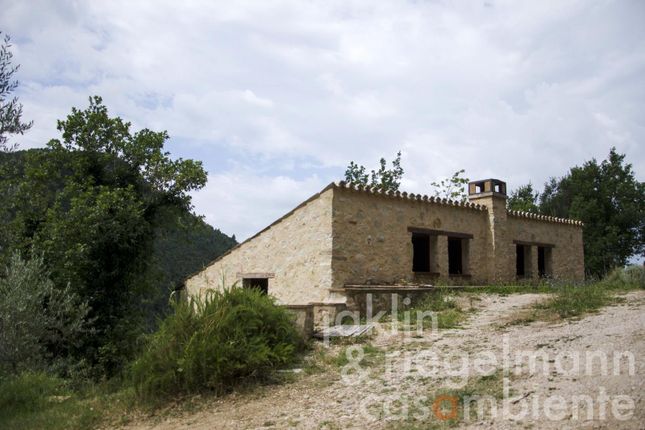 Country house for sale in Italy, Umbria, Perugia, Spoleto