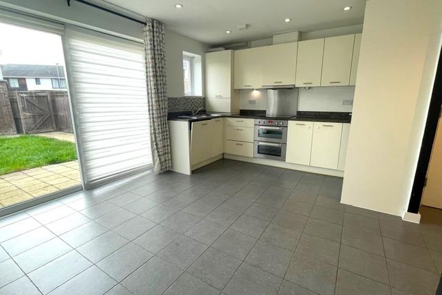 Property to rent in Mccluskeys Street, Colchester