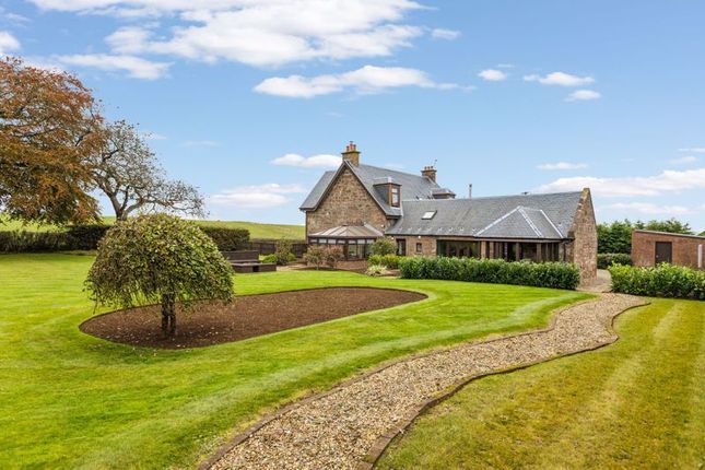 Westfield Farm, By Tarbolton photo 2