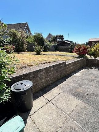 Garden.Jpg