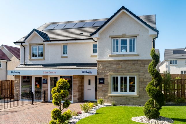 Showhome Photography