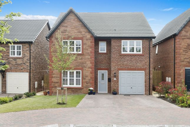 Thumbnail Detached house for sale in Howgill Way, Brampton