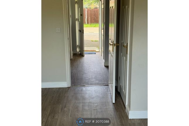 Maple Close, Rendlesham, Woodbridge photo 4
