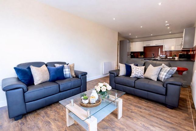35 Ecco, Sheffield photo 4