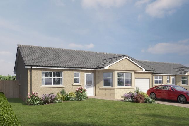 Thumbnail Bungalow for sale in Church Street, Ladybank