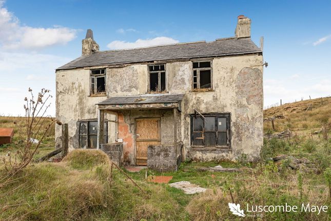 Castle Farmhouse, Yelverton photo 2