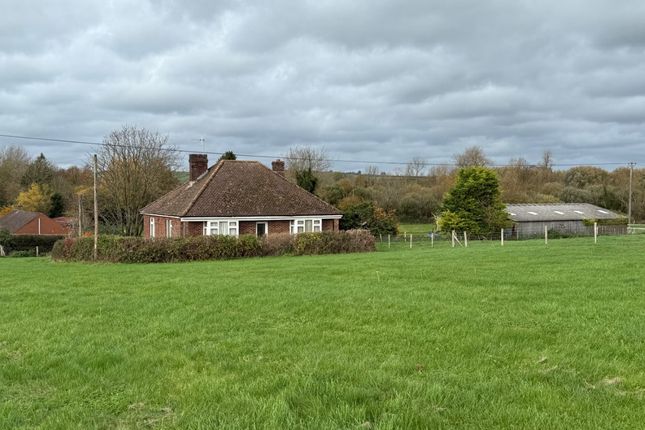 Rose Farm Bungalow, Hurdcott Lane, Salisbury photo 2