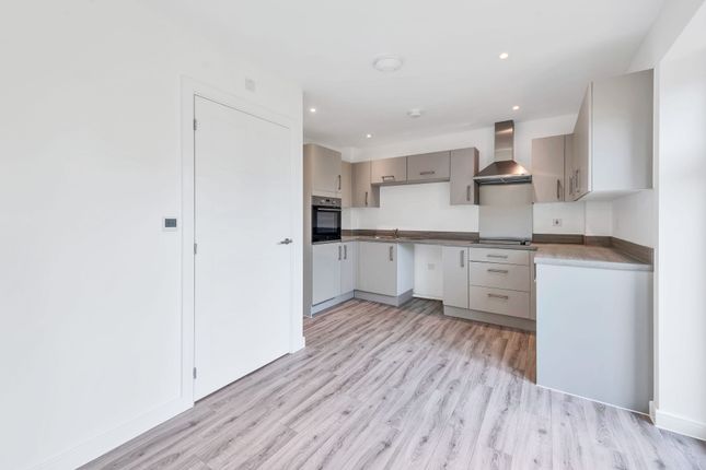 13 Euphoria End, Newmarket photo 3