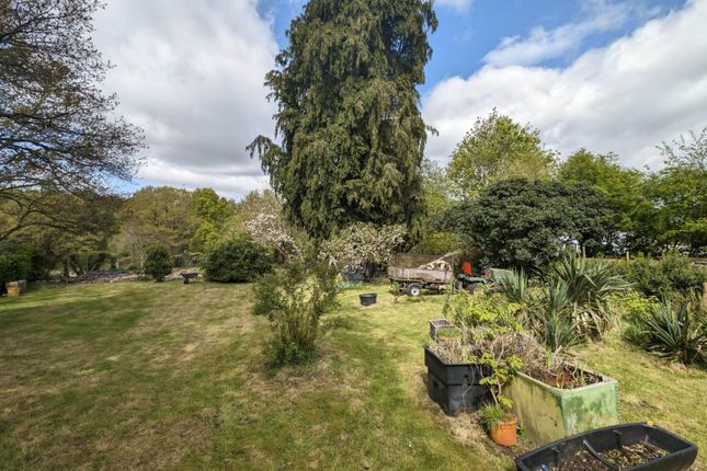 Detached bungalow for sale in Mill Lane, Headley, Hampshire