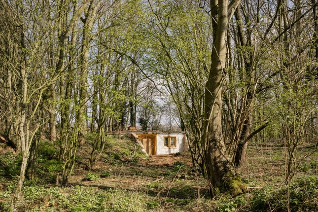 Woodland